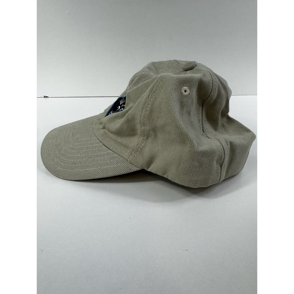 Carolina Panthers Men Hat Strap Back Tan Cap Adjustable Logo Football NFL Dad - Picture 3 of 7